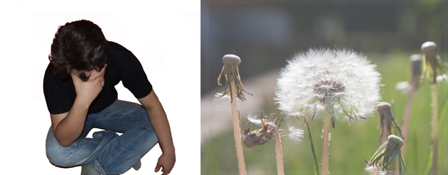 Burnout, Allergie und Phobien