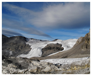 Verursacher und m&ouml;gliche Traumen