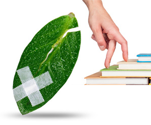 Psychosomatische Erkrankungen