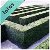 Auswirkungen von Angst