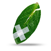 Psychosomatische Erkrankungen